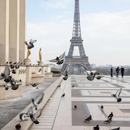 Comme Une Evidence Au Coeur De Et Des Jo * Paris